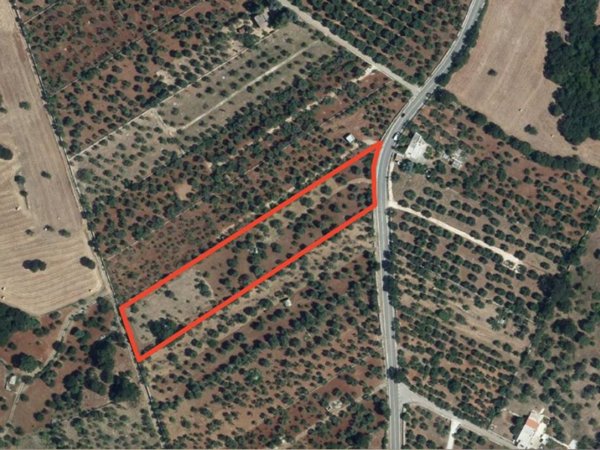 terreno agricolo in vendita a Monopoli