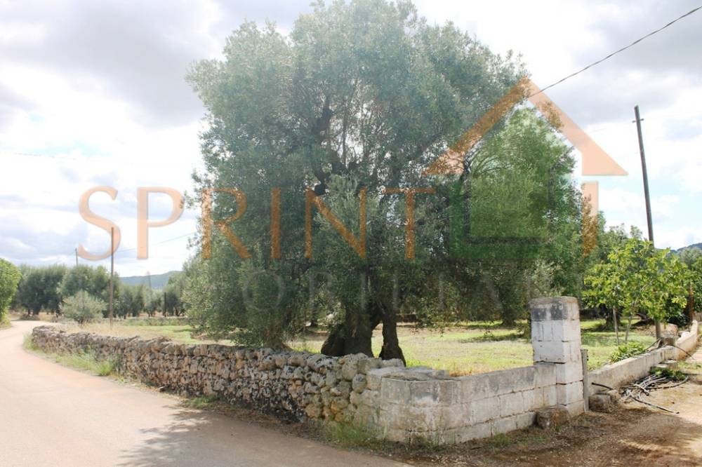 casa indipendente in vendita a Monopoli in zona Centro Storico