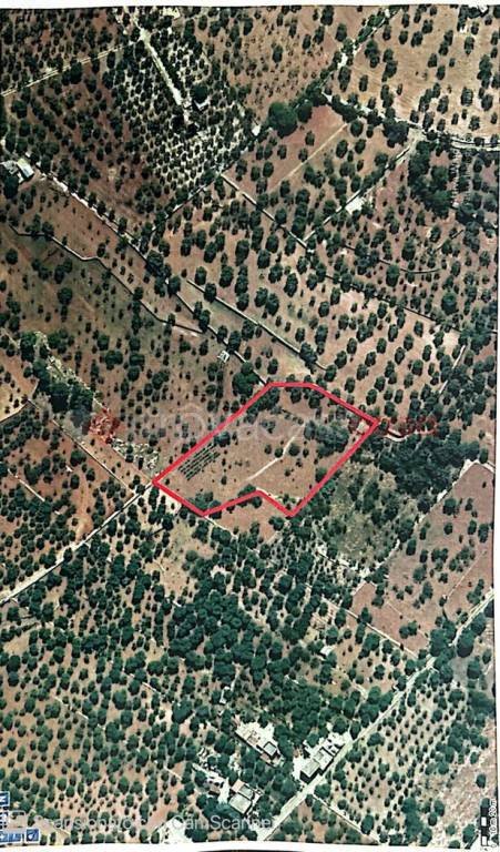 terreno agricolo in vendita a Monopoli in zona Cristo delle Zolle