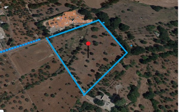 terreno agricolo in vendita a Monopoli