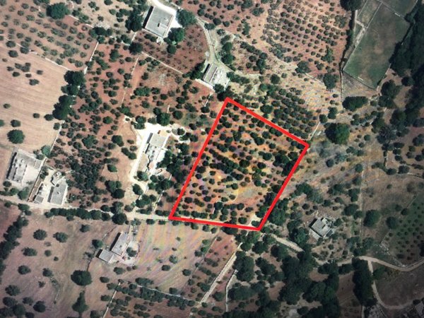 terreno agricolo in vendita a Monopoli