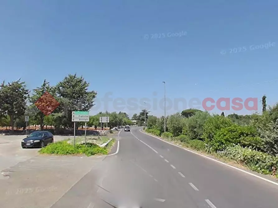 terreno agricolo in vendita a Monopoli