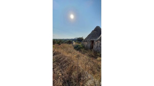 terreno agricolo in vendita a Monopoli