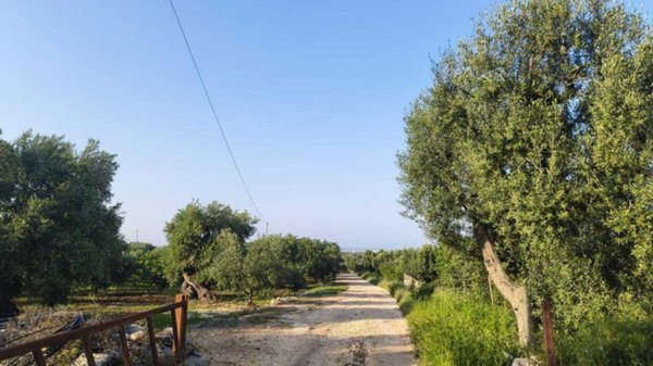 casa indipendente in vendita a Monopoli