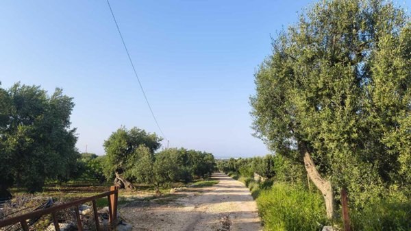 casa indipendente in vendita a Monopoli