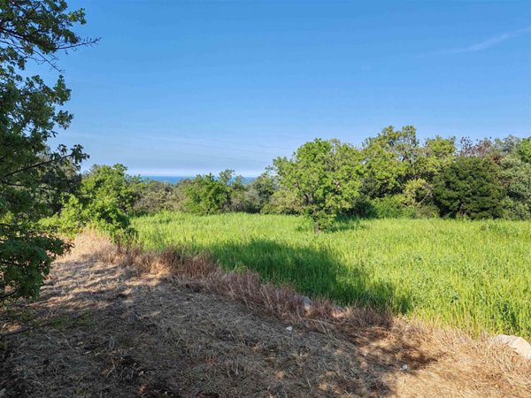 casa indipendente in vendita a Monopoli