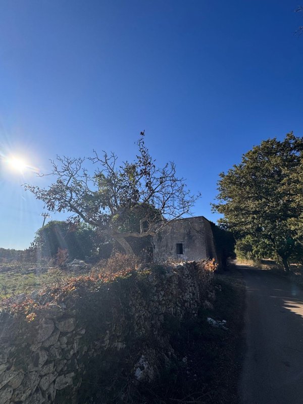 appartamento in vendita a Monopoli