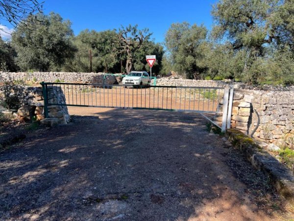 terreno agricolo in vendita a Monopoli