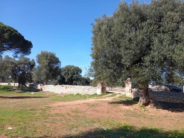 terreno agricolo in vendita a Monopoli