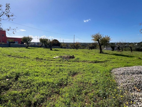 terreno agricolo in vendita a Monopoli