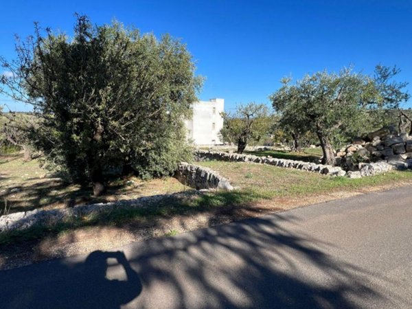 terreno agricolo in vendita a Monopoli
