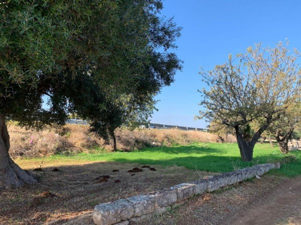 terreno edificabile in vendita a Monopoli