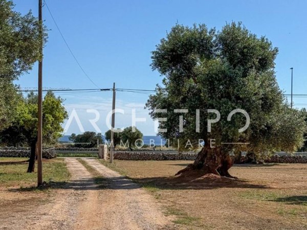 casa indipendente in vendita a Monopoli