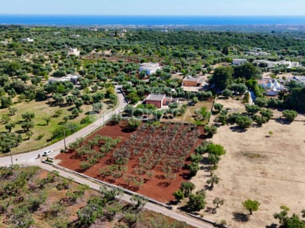 casa indipendente in vendita a Monopoli in zona Cozzana