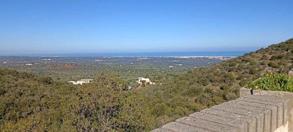 casa indipendente in vendita a Monopoli in zona Centro Storico