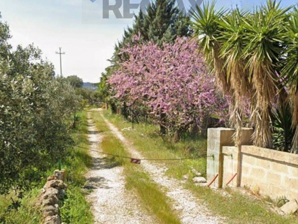 terreno agricolo in vendita a Monopoli in zona Cristo delle Zolle