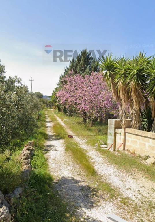 terreno agricolo in vendita a Monopoli in zona Cristo delle Zolle