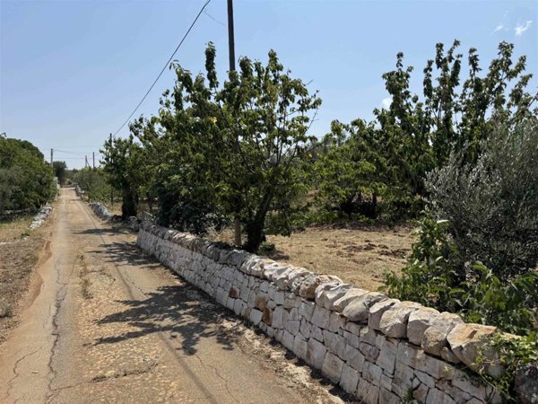 terreno agricolo in vendita a Monopoli in zona Cristo delle Zolle
