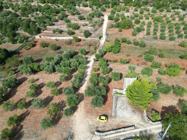 casa indipendente in vendita a Monopoli in zona Cristo delle Zolle