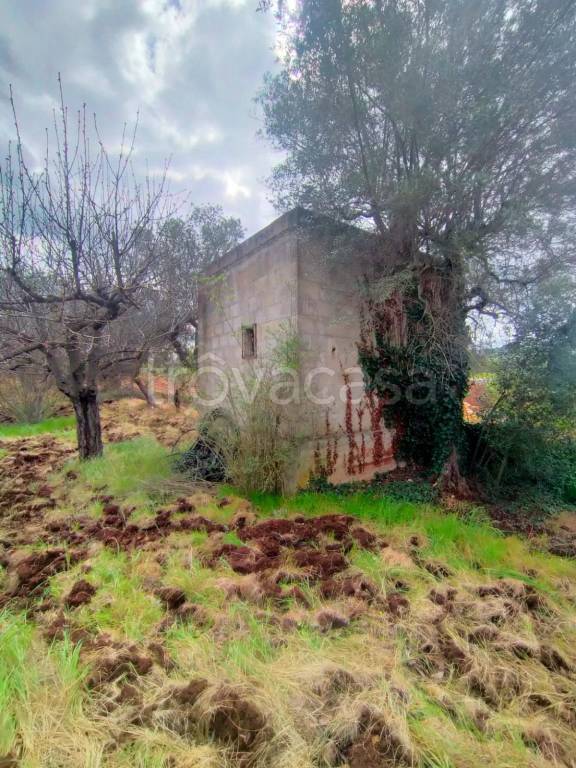casa indipendente in vendita a Monopoli in zona Cristo Re