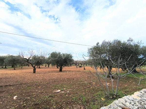 terreno agricolo in vendita a Monopoli in zona Lamascrasciola