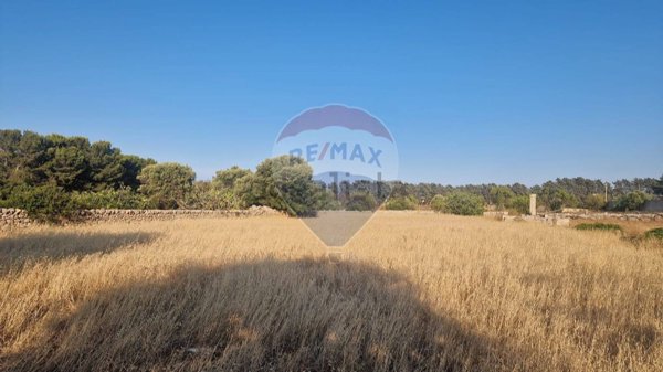 terreno agricolo in vendita a Monopoli
