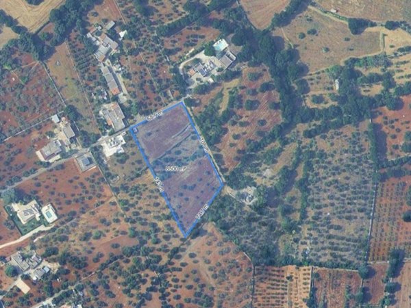terreno agricolo in vendita a Monopoli in zona Cristo delle Zolle