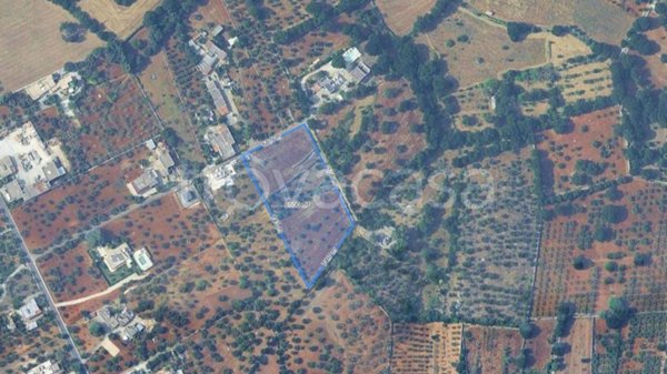 terreno agricolo in vendita a Monopoli in zona Cristo delle Zolle