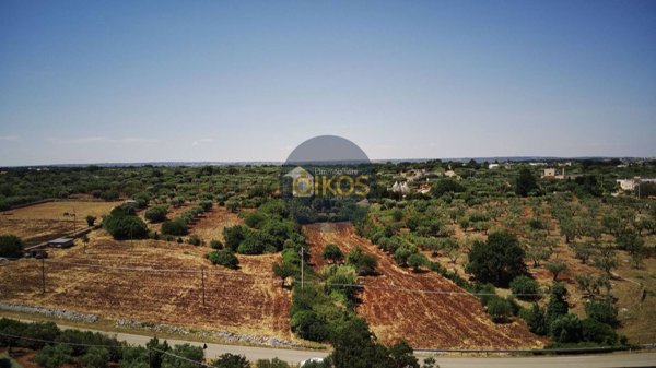 terreno agricolo in vendita a Monopoli in zona Cristo delle Zolle