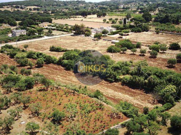 terreno agricolo in vendita a Monopoli in zona Cristo delle Zolle