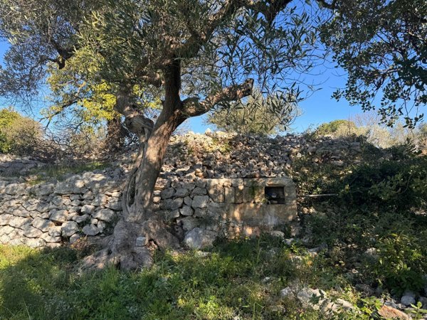 casa indipendente in vendita a Monopoli