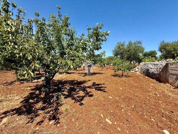 terreno agricolo in vendita a Monopoli in zona Cozzana