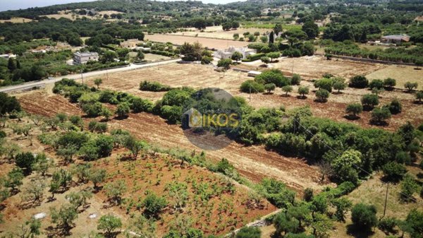 terreno agricolo in vendita a Monopoli in zona Cristo delle Zolle