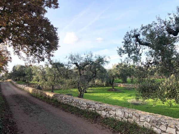 terreno agricolo in vendita a Monopoli in zona Cristo delle Zolle
