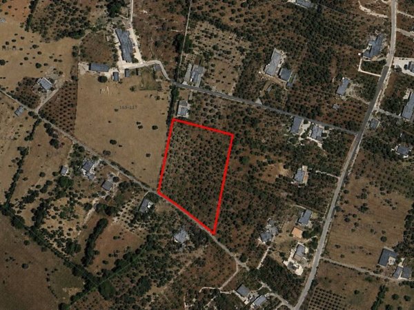 terreno agricolo in vendita a Monopoli in zona Cristo delle Zolle