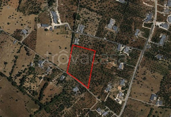 terreno agricolo in vendita a Monopoli in zona Cristo delle Zolle