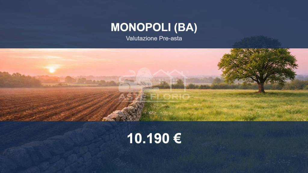 terreno agricolo in vendita a Monopoli in zona Petrarolo