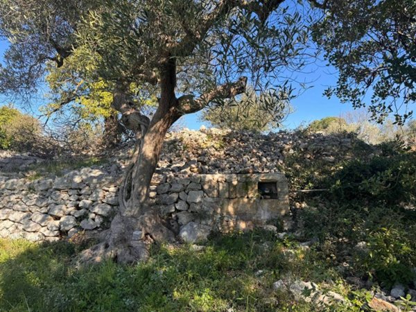 casa indipendente in vendita a Monopoli in zona San Bartolomeo