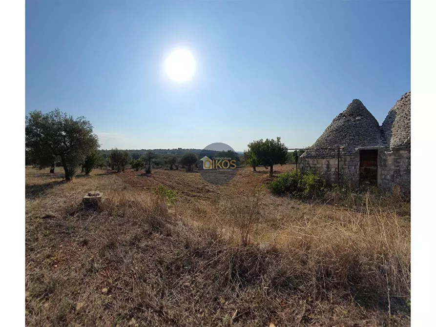 terreno agricolo in vendita a Monopoli in zona Cristo delle Zolle
