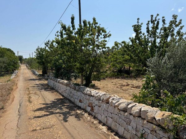terreno agricolo in vendita a Monopoli in zona Cristo delle Zolle