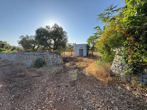 terreno agricolo in vendita a Monopoli