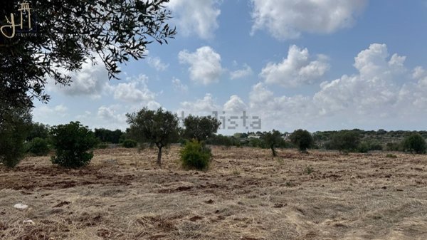casa indipendente in vendita a Monopoli in zona San Bartolomeo