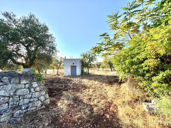 appartamento in vendita a Monopoli