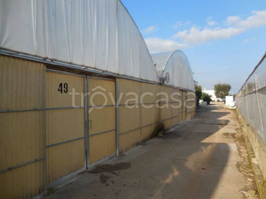 terreno in vendita a Monopoli in zona Cristo delle Zolle
