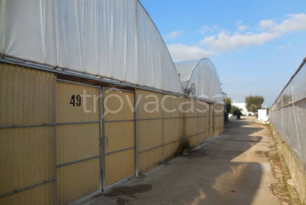 terreno in vendita a Monopoli in zona Cristo delle Zolle