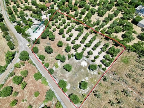 terreno agricolo in vendita a Monopoli in zona Cristo delle Zolle