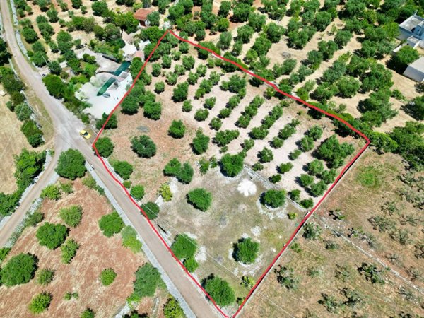 terreno agricolo in vendita a Monopoli in zona Cristo delle Zolle