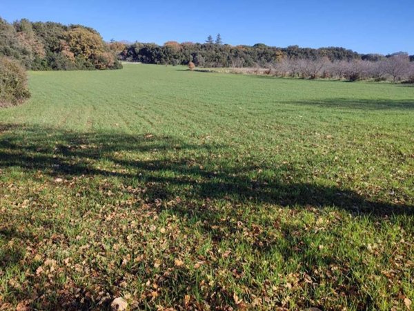 terreno in vendita a Monopoli in zona Cozzana
