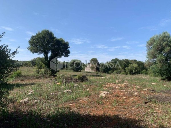 trullo in vendita a Monopoli in zona Cristo delle Zolle