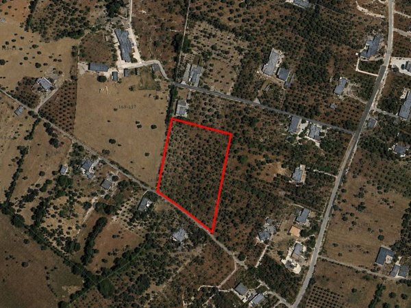 terreno agricolo in vendita a Monopoli in zona Cristo delle Zolle
